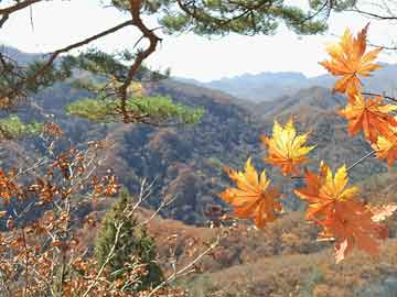 三大厅